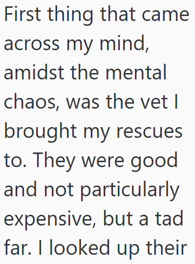 First thing that came across my mind, amidst the mental chaos, was the vet I brought my rescues to. They were good and not particularly expensive, but a tad far. I looked up their