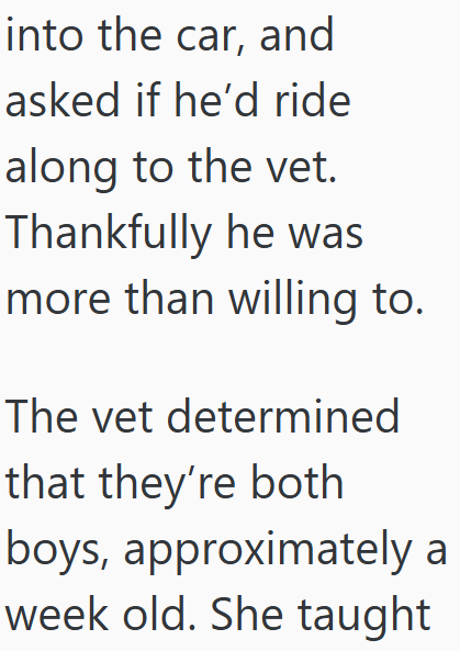 into the car, and asked if he'd ride along to the vet. Thankfully he was more than willing to. The vet determined that they're both boys, approximately a week old. She taught