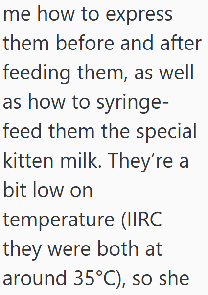 me how to express them before and after feeding them, as well as how to syringe- feed them the special kitten milk. They're a bit low on temperature (IIRC they were both at around 35°C), so she