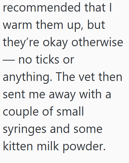recommended that I warm them up, but they're okay otherwise no ticks or anything. The vet then sent me away with a couple of small syringes and some kitten milk powder.