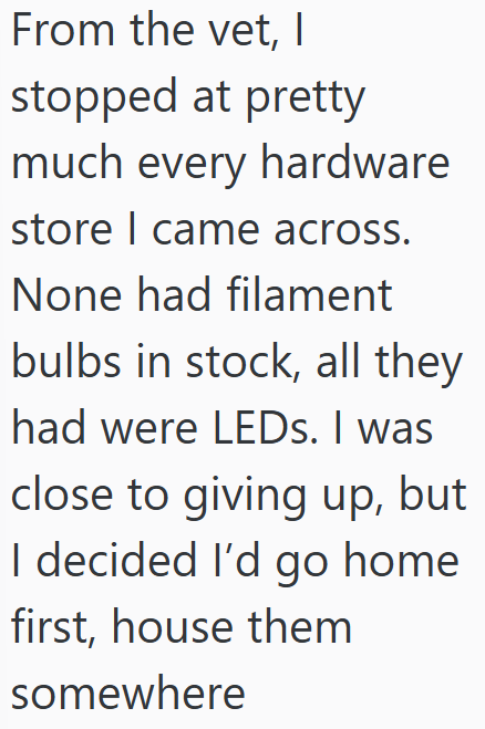 From the vet, I stopped at pretty much every hardware store I came across. None had filament bulbs in stock, all they had were LEDs. I was close to giving up, but I decided I'd go home first, house them somewhere