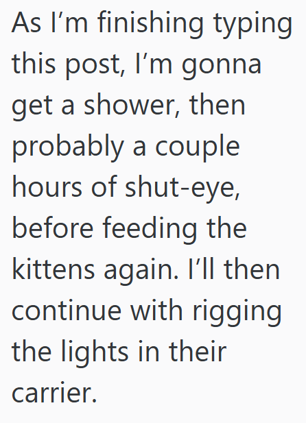 As I'm finishing typing this post, I'm gonna get a shower, then probably a couple hours of shut-eye, before feeding the kittens again. I'll then continue with rigging the lights in their carrier.