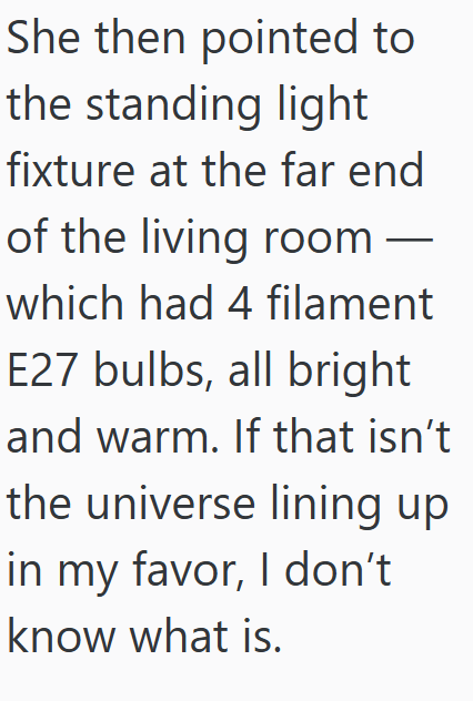 She then pointed to the standing light fixture at the far end of the living room — which had 4 filament E27 bulbs, all bright and warm. If that isn't the universe lining up in my favor, I don't know what is.