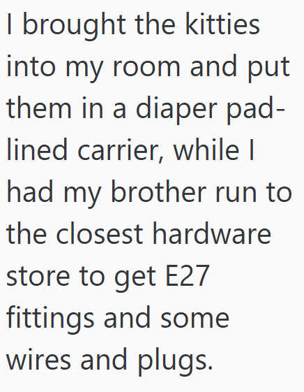 I brought the kitties into my room and put them in a diaper pad- lined carrier, while I had my brother run to the closest hardware store to get E27 fittings and some wires and plugs.