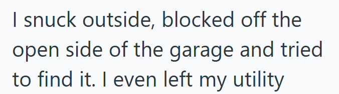 I snuck outside, blocked off the open side of the garage and tried to find it. I even left my utility