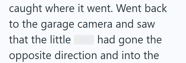 caught where it went. Went back to the garage camera and saw that the little had gone the opposite direction and into the