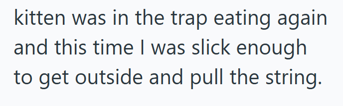 kitten was in the trap eating again and this time I was slick enough to get outside and pull the string.