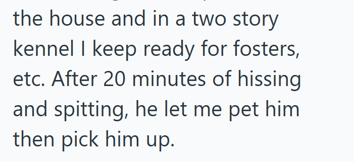 the house and in a two story kennel I keep ready for fosters, etc. After 20 minutes of hissing and spitting, he let me pet him then pick him up.