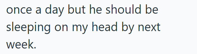 once a day but he should be sleeping on my head by next week.