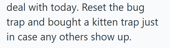 deal with today. Reset the bug trap and bought a kitten trap just in case any others show up.