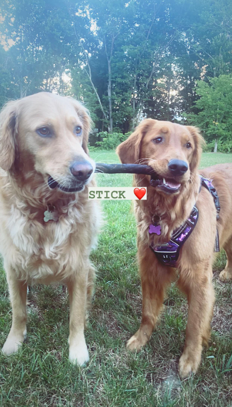 STICK