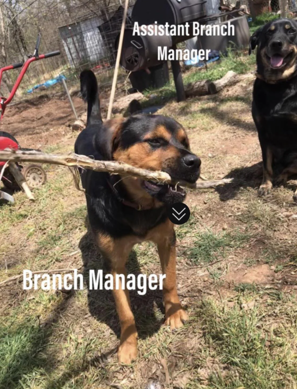 Assistant Branch Manager Branch Manager L