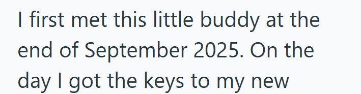 I first met this little buddy at the end of September 2025. On the day I got the keys to my new