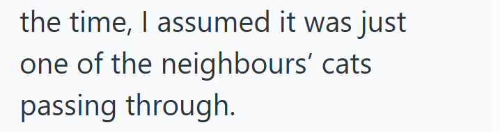 the time, I assumed it was just one of the neighbours' cats passing through.