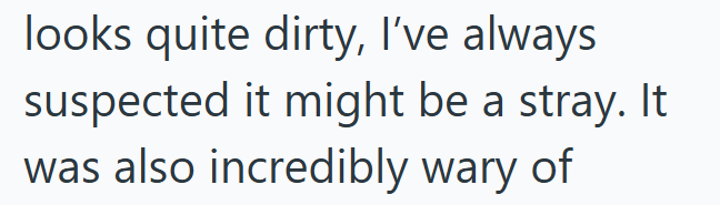 looks quite dirty, I've always suspected it might be a stray. It was also incredibly wary of