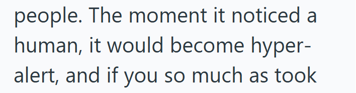people. The moment it noticed a human, it would become hyper- alert, and if you so much as took