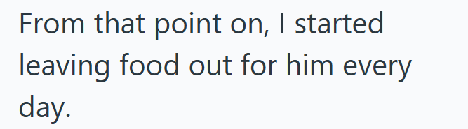 From that point on, I started leaving food out for him every day.