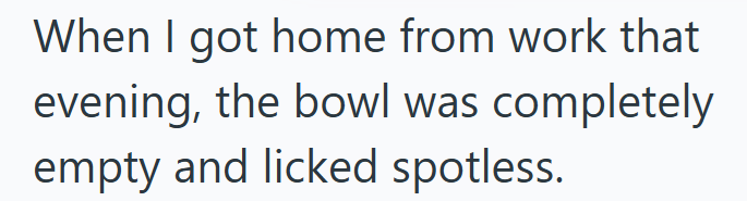 When I got home from work that evening, the bowl was completely empty and licked spotless.