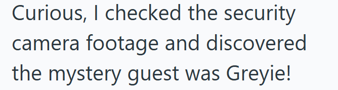 Curious, I checked the security camera footage and discovered the mystery guest was Greyie!