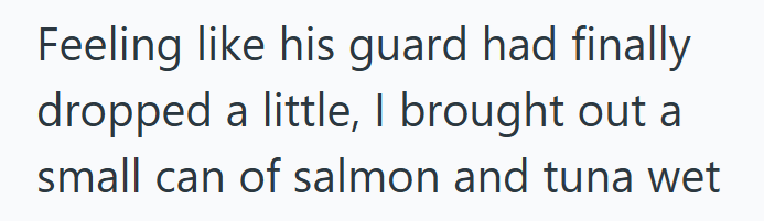 Feeling like his guard had finally dropped a little, I brought out a small can of salmon and tuna wet
