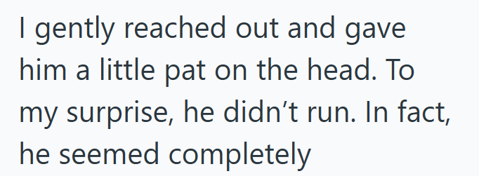 I gently reached out and gave him a little pat on the head. To my surprise, he didn't run. In fact, he seemed completely