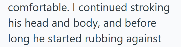 comfortable. I continued stroking his head and body, and before long he started rubbing against