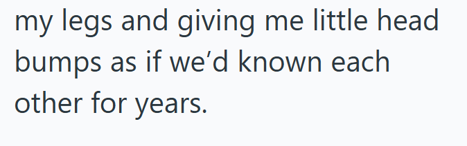 my legs and giving me little head bumps as if we'd known each other for years.