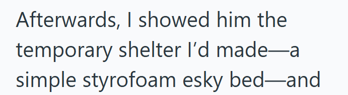 Afterwards, I showed him the temporary shelter I'd made-a simple styrofoam esky bed—and