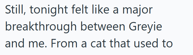 Still, tonight felt like a major breakthrough between Greyie and me. From a cat that used to