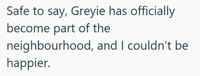Safe to say, Greyie has officially become part of the neighbourhood, and I couldn't be happier.
