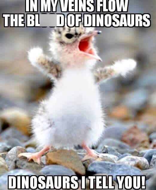 IN MY VEINS FLOW THE BLOD OF DINOSAURS DINOSAURS I TELL YOU!