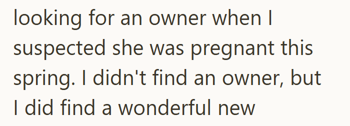 looking for an owner when I suspected she was pregnant this spring. I didn't find an owner, but I did find a wonderful new