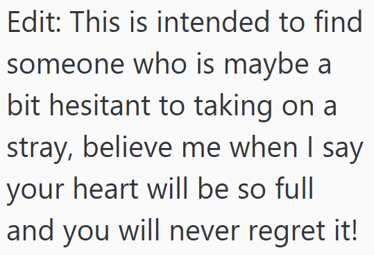 Edit: This is intended to find someone who is maybe a bit hesitant to taking on a stray, believe me when I say your heart will be so full and you will never regret it!