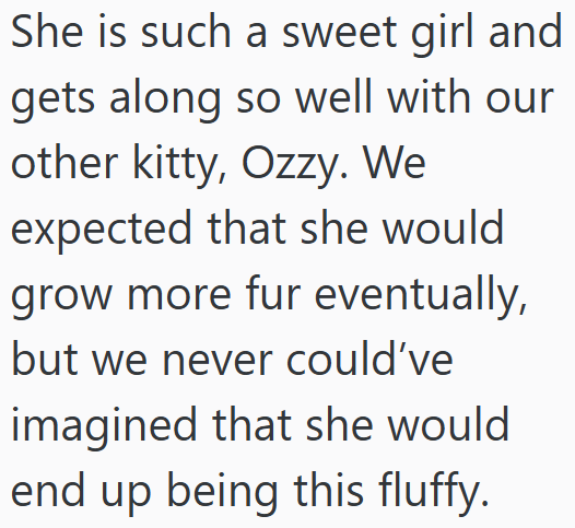 She is such a sweet girl and gets along so well with our other kitty, Ozzy. We expected that she would grow more fur eventually, but we never could've imagined that she would end up being this fluffy.