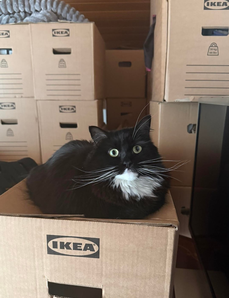 EA IKEA IKEA IKEA IKEA O IKEA 30 kg 66 lbs