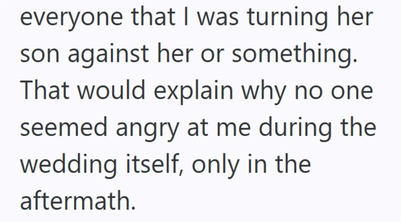 everyone that I was turning her son against her or something. That would explain why no one seemed angry at me during the wedding itself, only in the aftermath.