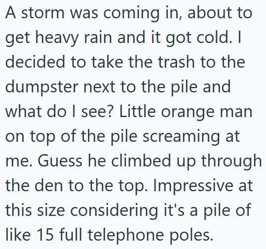 A storm was coming in, about to get heavy rain and it got cold. I decided to take the trash to the dumpster next to the pile and what do I see? Little orange man on top of the pile screaming at me. Guess he climbed up through the den to the top. Impressive at this size considering it's a pile of like 15 full telephone poles.