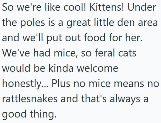 So we're like cool! Kittens! Under the poles is a great little den area and we'll put out food for her. We've had mice, so feral cats would be kinda welcome honestly... Plus no mice means no rattlesnakes and that's always a good thing.