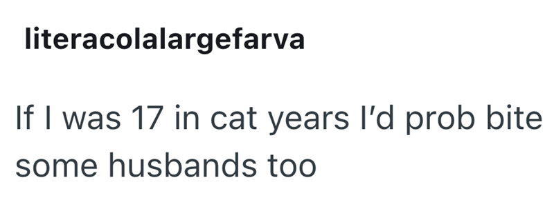 literacolalargefarva If I was 17 in cat years I'd prob bite some husbands too