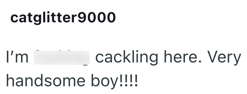 catglitter9000 I'm cackling here. Very handsome boy!!!!