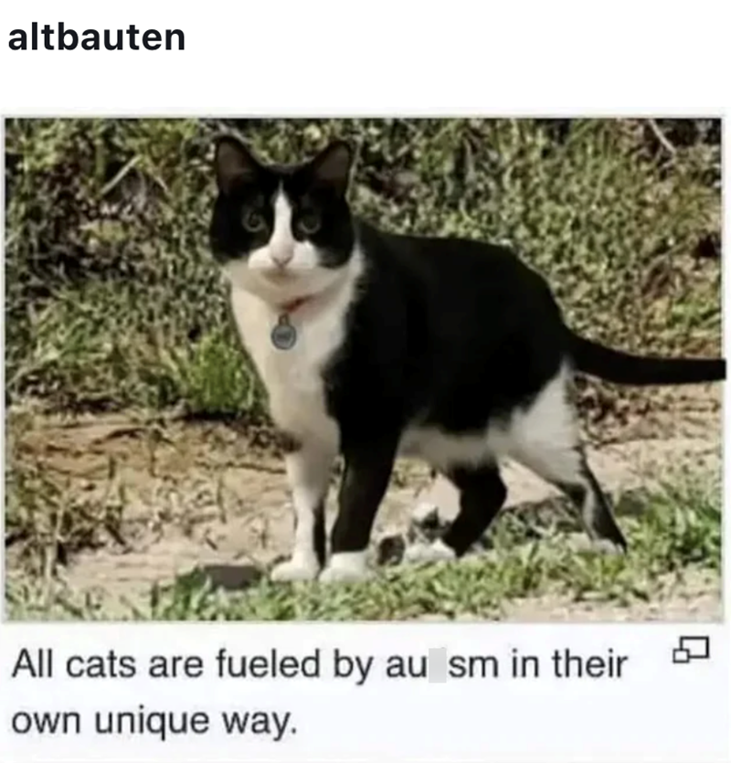 altbauten All cats are fueled by au sm in their own unique way. Q