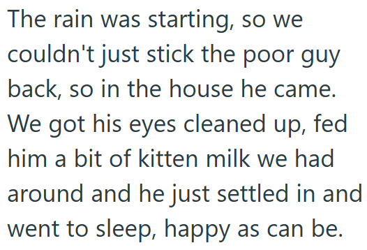 The rain was starting, so we couldn't just stick the poor guy back, so in the house he came. We got his eyes cleaned up, fed him a bit of kitten milk we had around and he just settled in and went to sleep, happy as can be.