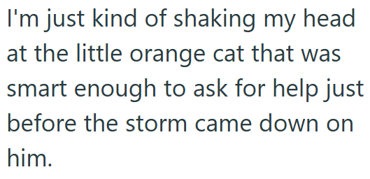 I'm just kind of shaking my head at the little orange cat that was smart enough to ask for help just before the storm came down on him.