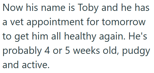 Now his name is Toby and he has a vet appointment for tomorrow to get him all healthy again. He's probably 4 or 5 weeks old, pudgy and active.