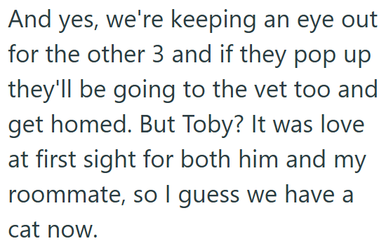 And yes, we're keeping an eye out for the other 3 and if they pop up they'll be going to the vet too and get homed. But Toby? It was love at first sight for both him and my roommate, so I guess we have a cat now.