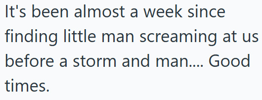 It's been almost a week since finding little man screaming at us before a storm and man.... Good times.