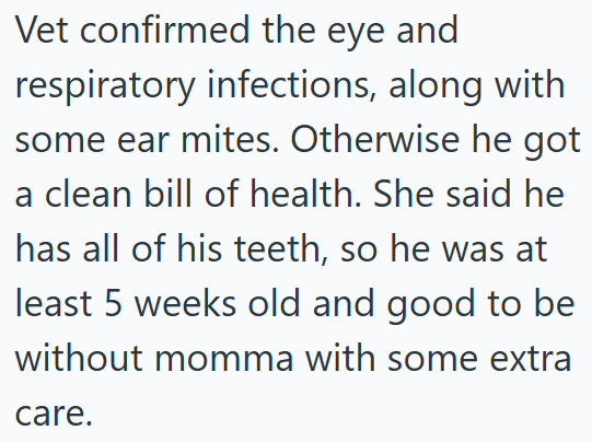 Vet confirmed the eye and respiratory infections, along with some ear mites. Otherwise he got a clean bill of health. She said he has all of his teeth, so he was at least 5 weeks old and good to be without momma with some extra care.