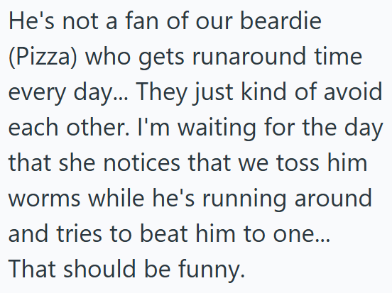 He's not a fan of our beardie (Pizza) who gets runaround time every day... They just kind of avoid each other. I'm waiting for the day that she notices that we toss him worms while he's running around and tries to beat him to one... That should be funny.