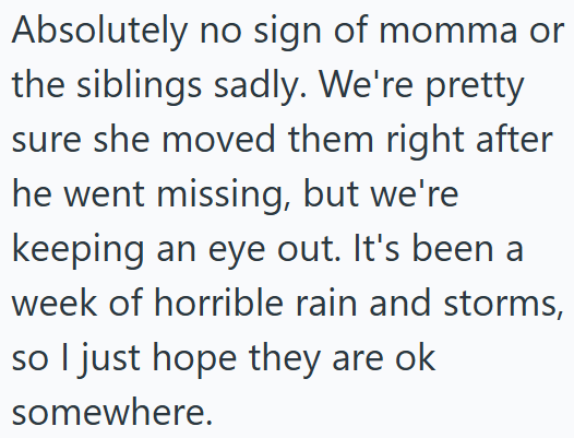 Absolutely no sign of momma or the siblings sadly. We're pretty sure she moved them right after he went missing, but we're keeping an eye out. It's been a week of horrible rain and storms, so I just hope they are ok somewhere.