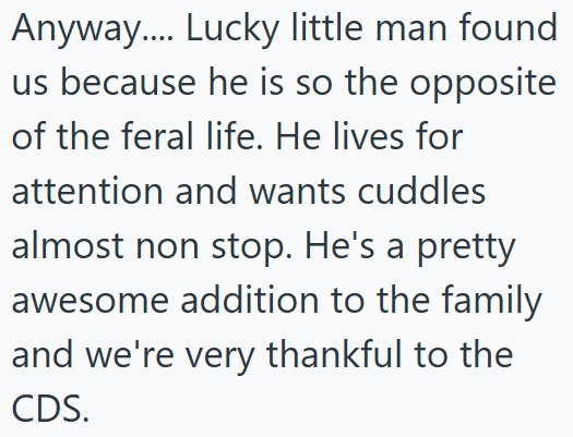 Anyway.... Lucky little man found us because he is so the opposite of the feral life. He lives for attention and wants cuddles almost non stop. He's a pretty awesome addition to the family and we're very thankful to the CDS.